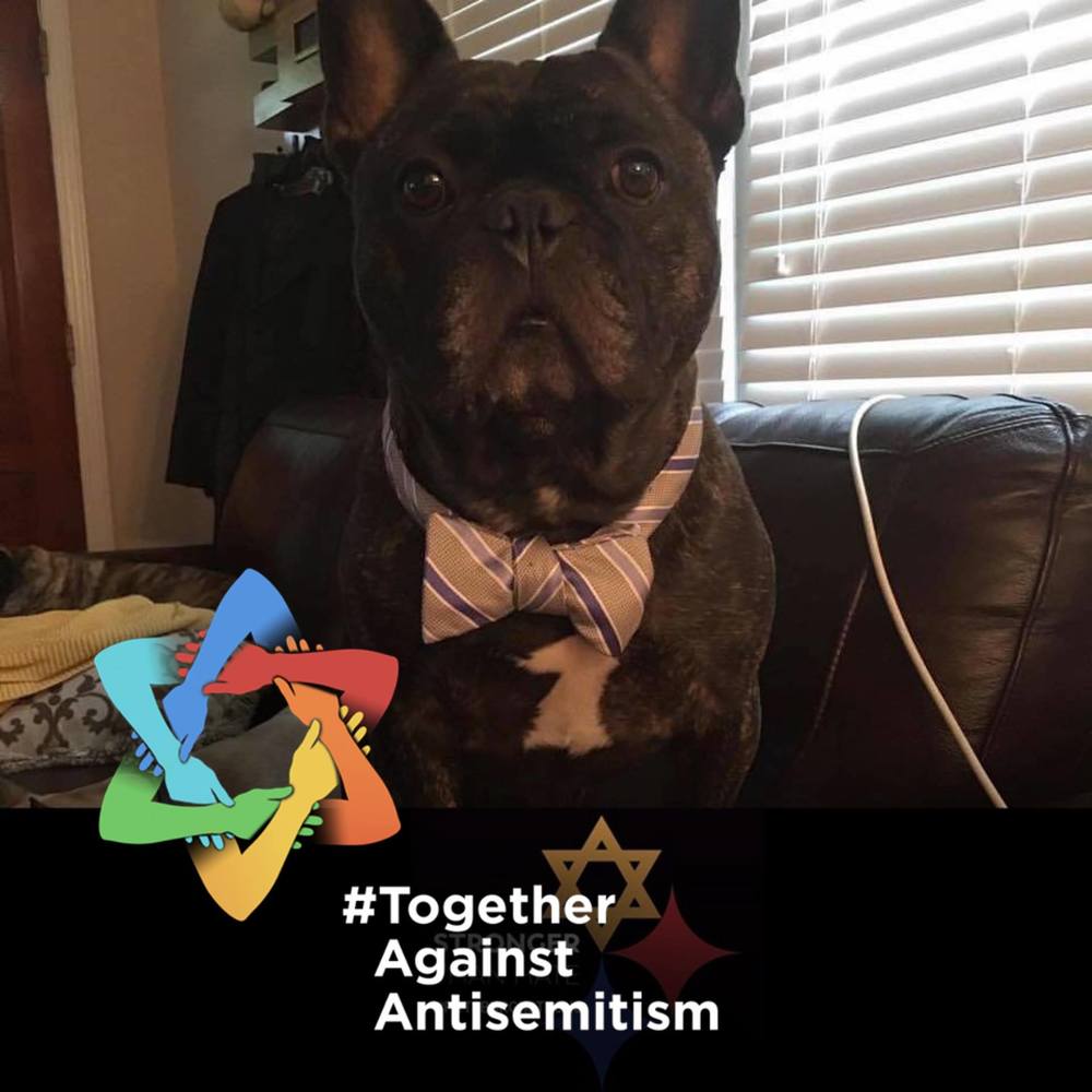 Meet your Posher, Catherine